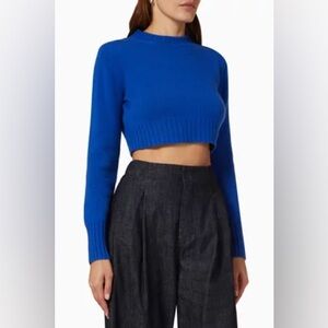 MaxMara Blue Crew Neck Sweater